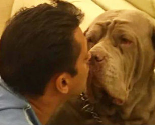 Salman-Khan-does-not-want-to-go-to-Dogi-My-Love