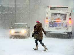 Mississauga spent $2 million to clear winter storm snow