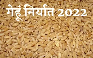 After the ban order, the government allowed the export of 16 lakh tonnes of wheat.