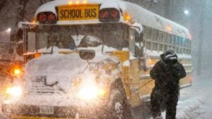 Buses canceled on many routes in Greater Toronto area on Tuesday, decision taken in view of storm in Toronto