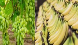 The people of Pakistan are suffering due to inflation on Ramadan, Bananas are being sold for Rs.500 and grapes for Rs.1600 per kg.