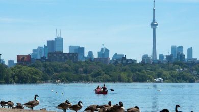 Heat warnings issued for parts of the Greater Toronto Area