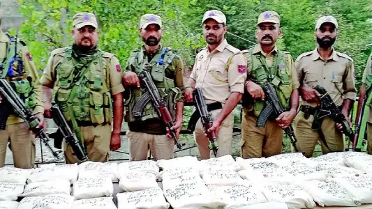 पंजाब के २ लोगों से जम्मू में पकड़े ३०० करोड़ के नशीले पदार्थ