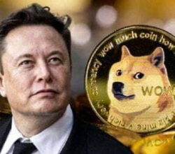 Elon Musk's troubles escalated! Cryptocurrency investor sued for Rs 20 lakh crore